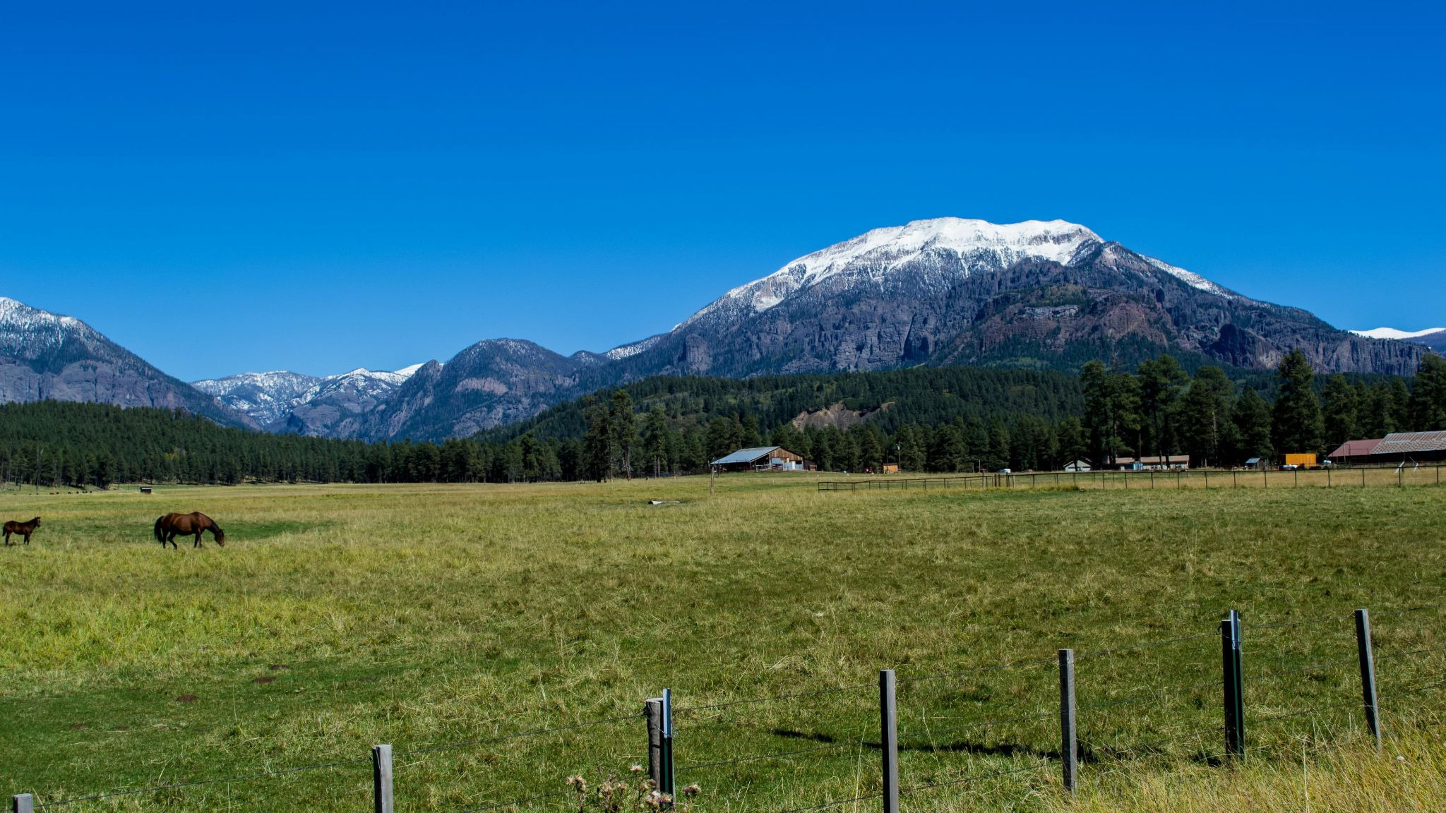 Colorado ranch with mountains in the background.